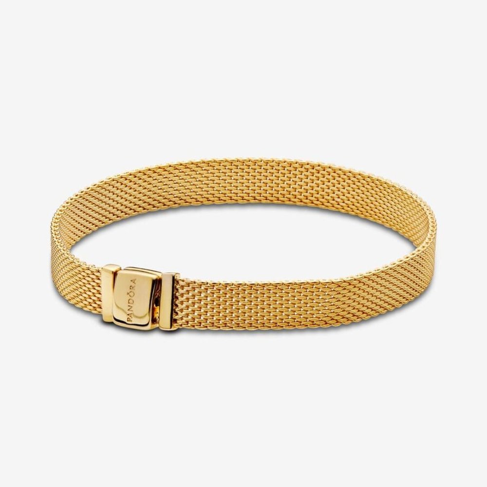 Pandora Reflexions 14k Gold-plated Mesh Bracelet with 3 Charms